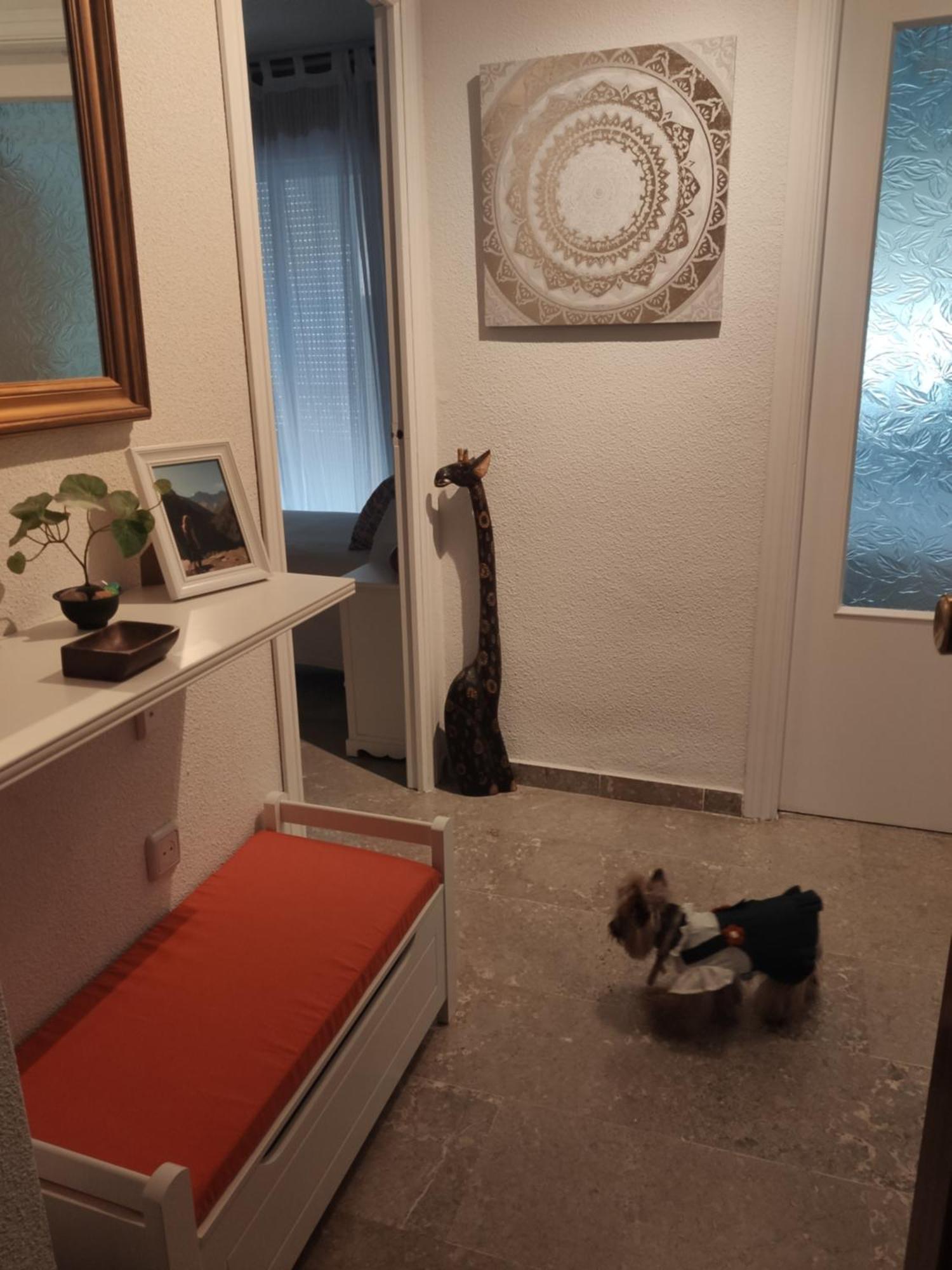 Apartamento Tropicana 1° Linea Almuñécar エクステリア 写真