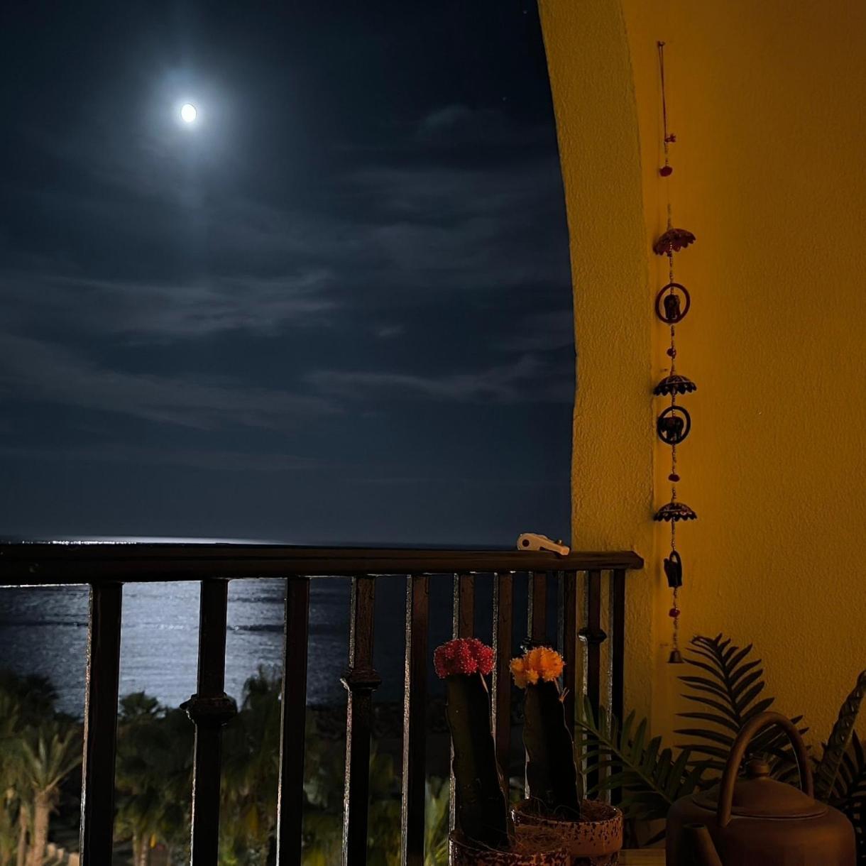 Apartamento Tropicana 1° Linea Almuñécar エクステリア 写真